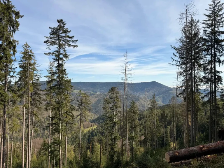 Photo séjour jeûne Alsace